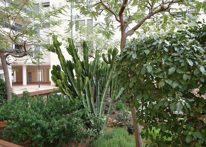 Apartment Plaza Mayor